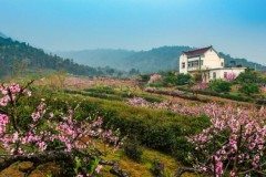 相约安徽·向春而行 | 相约安徽春水暖，欢乐沿江踏歌行
